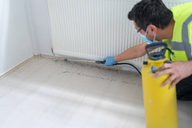 Trusted Glenville, WV Pest Control Experts